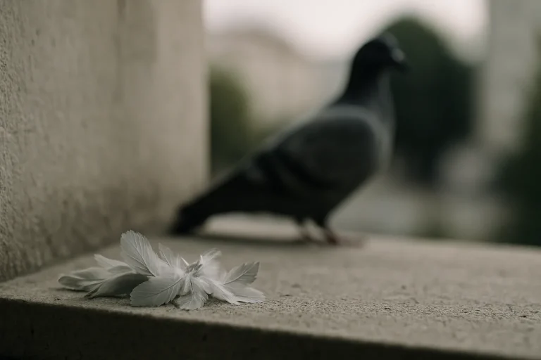 Gros plan sur un rebord de fenêtre avec des plumes de pigeon et un pigeon flou en arrière-plan.